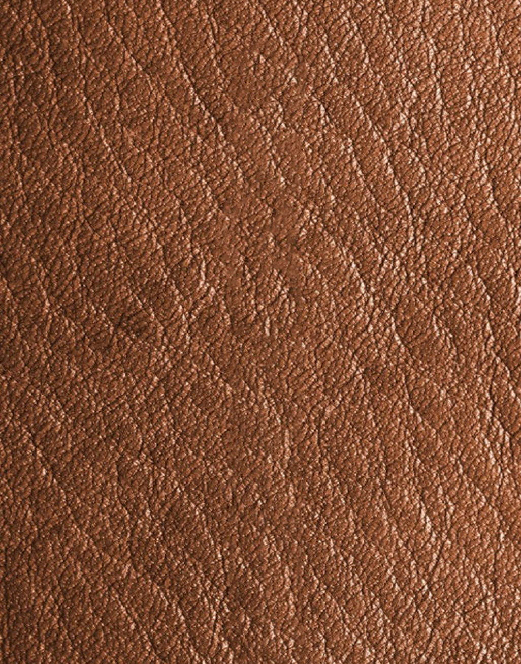 Goat Leather